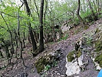 IMG_20200418_185119