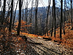 IMG_20200209_103408_resize_2