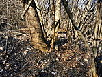 IMG_20200209_135958_resize_2