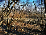IMG_20200209_140000_resize_2