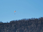IMG_20200209_133750_resize_2