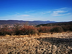 IMG_20200209_134028_resize_2