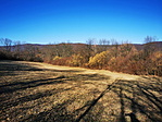 IMG_20200209_135517_resize_2