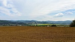 IMG_3342