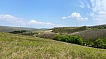 IMG_3355
