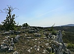 IMG_20200412_122738