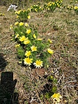 IMG_20200412_122920