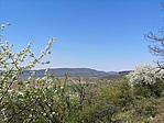 IMG_20200412_124139