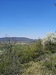 IMG_20200412_124451