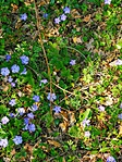 IMG_20200412_125611-EFFECTS
