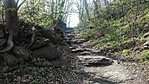 IMG_20200405_154600