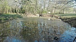 IMG_20200417_171228
