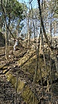 IMG_20200403_164903