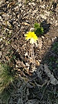 IMG_20200403_163104