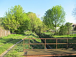 IMG_5824