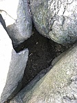 IMG_7705