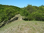 DSCN87984