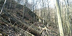 20200329_110707