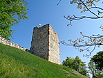 DSC01913