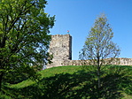 DSC01915