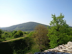 DSC01941