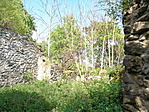 DSC02134