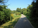 DSC05881