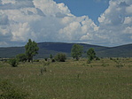 DSC02443