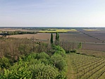 IMG_20200418_174006