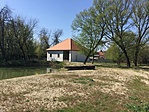 IMG_8163[1]