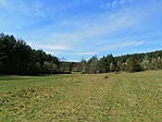 IMG_20200415_133749