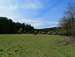IMG_20200415_133954