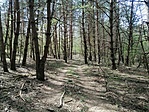 IMG_20200415_134415