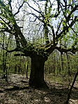IMG_20200415_134559