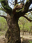 IMG_20200415_134617
