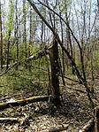 IMG_20200415_134650