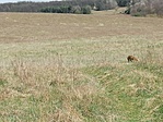 IMG_20200415_140752