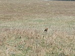 IMG_20200415_140816