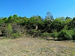IMG_20200422_142218