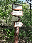 20200423_090837