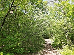 20200423_091105