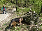 IMG_20200415_132400