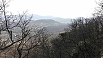 IMG_20200328_140202