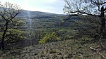 IMG_20200416_164150