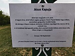 IMG_20200418_115226