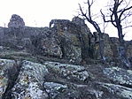 IMG_1050