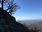 IMG_1052
