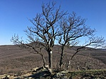 IMG_1058