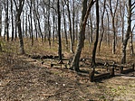 IMG_20200405_134822