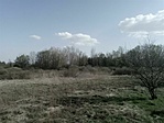 IMG_20200328_152649